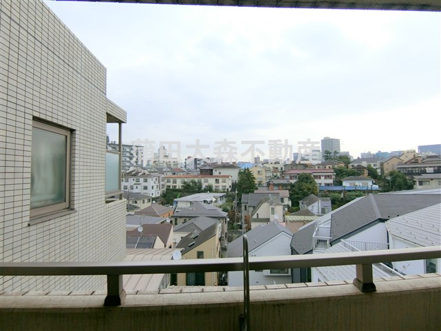 バレーヌ大森山王の展望