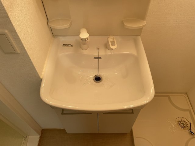 サンシャリテ向丘A棟の洗面所