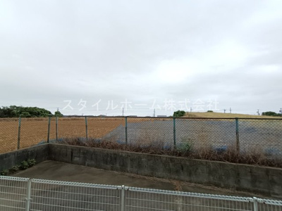 【展望】 | ビューラー野依D