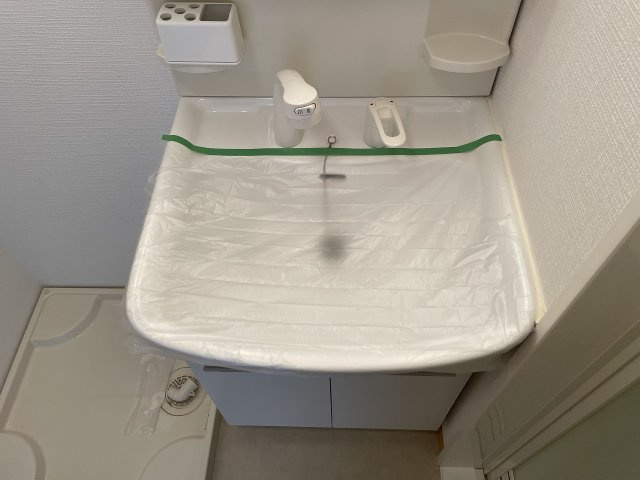 サンシャリテ向丘B棟の洗面所