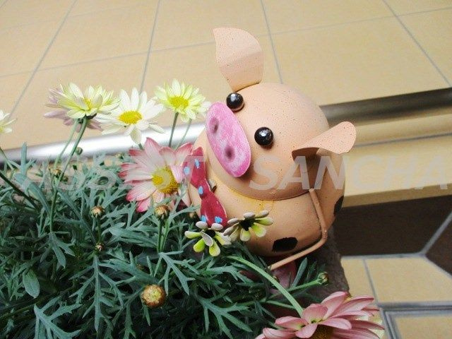 ハピネス池尻のその他