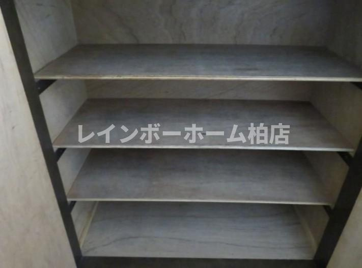 特典：仲介手数料が無料です!!の内装|過ごしやすい室内です