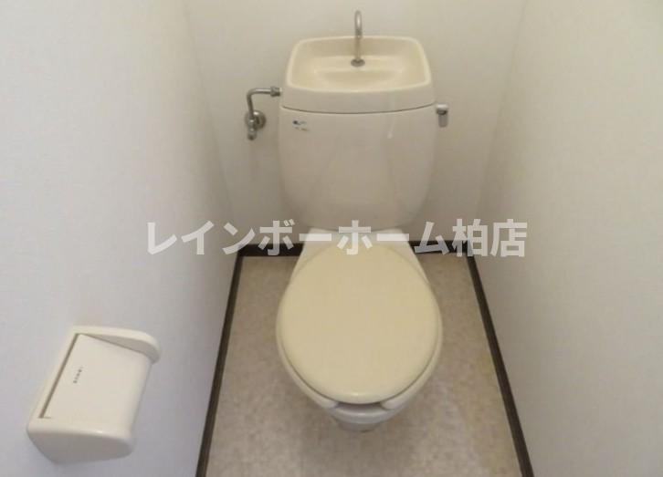 特典：仲介手数料が無料です!!のトイレ|落ち着いた色調のトイレです