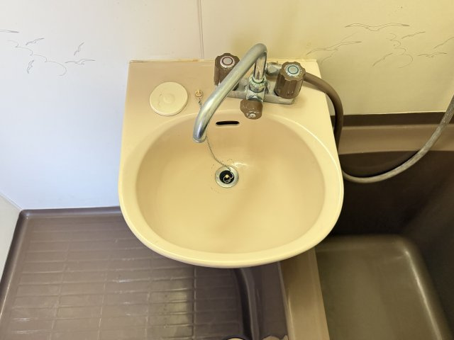 エバーグリーンの洗面所