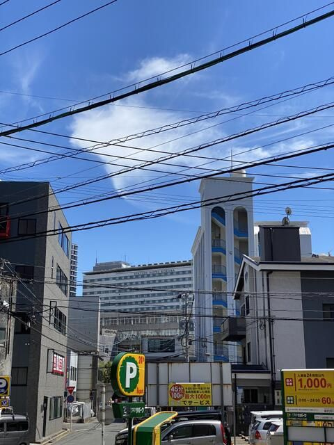 レスプランドールの展望