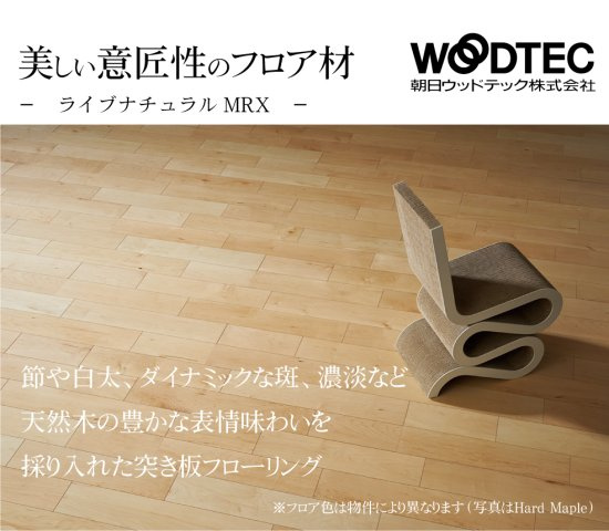 【その他】の画像