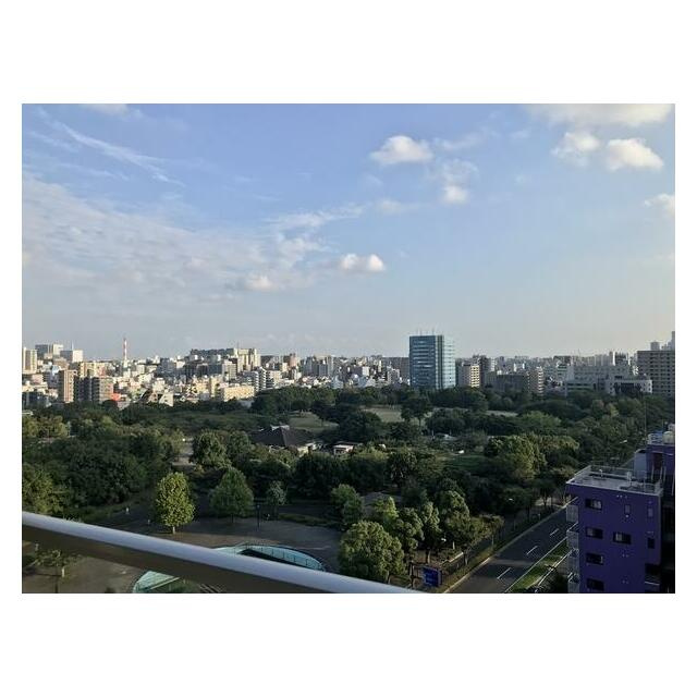 アデニウムコート木場公園の展望