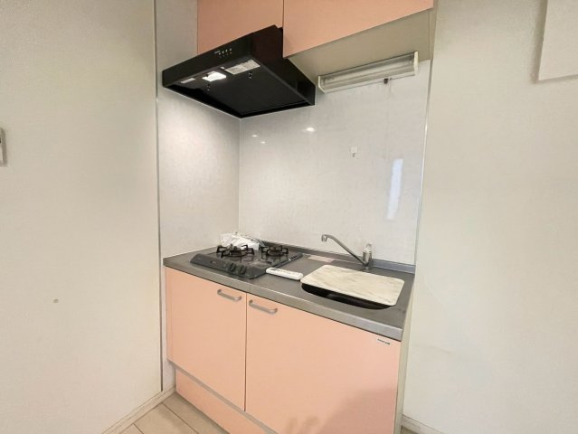 シャイニング駒沢　ペット相談　角部屋　独立洗面台のキッチン