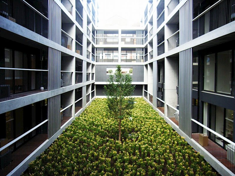 Villa Rondo の庭