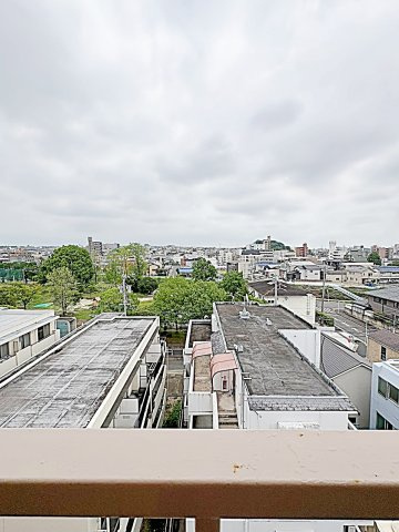 ロイヤルプラザヤマダの展望