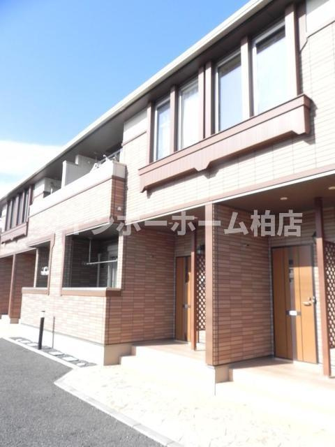 【仲介手数料：50％OFF】対象物件！のエントランス|清潔なエントランスです