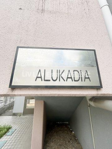 アルカディアのその他