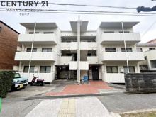 チャフル甲東の画像