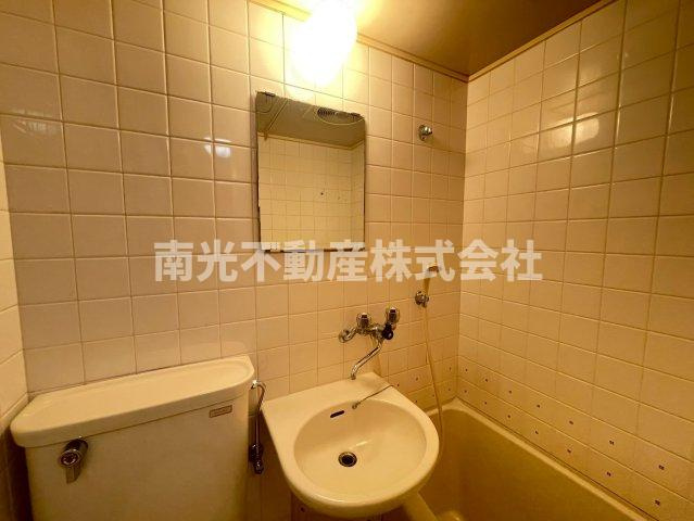 メゾン朝日八戸ノ里　の洗面所