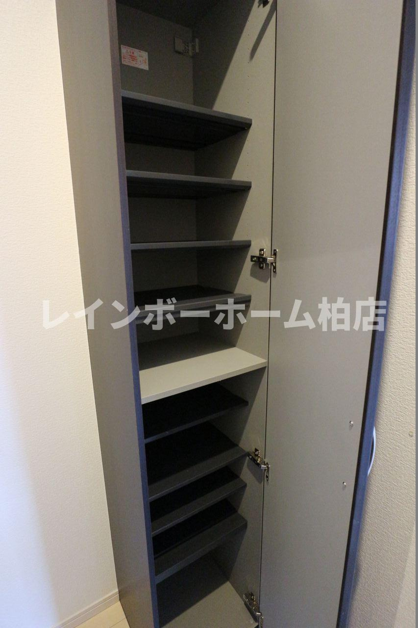特典：仲介手数料が無料です!!の玄関|ゆったりとした玄関です