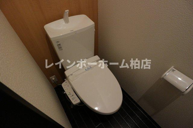 特典：仲介手数料が無料です!!のトイレ|トイレもきれいです
