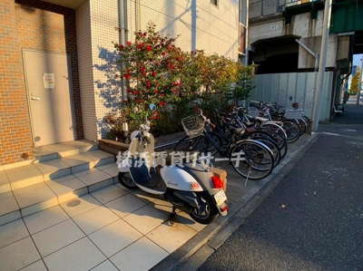  | ログコートⅡ