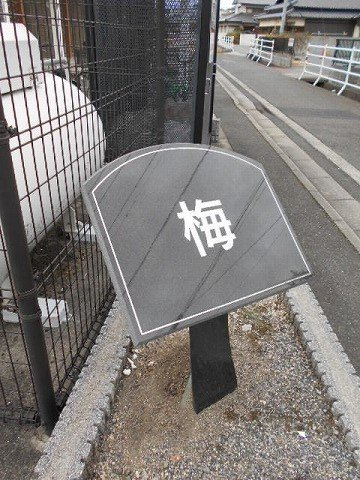 梅のその他共用部分