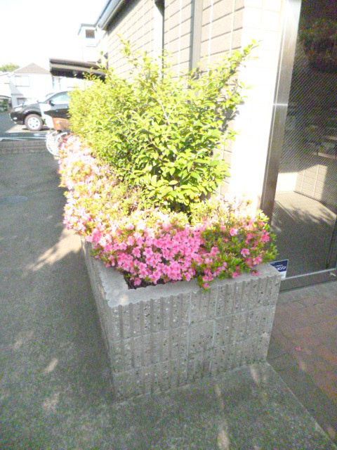アステイオンⅤのその他|★敷地内には緑がたくさん★