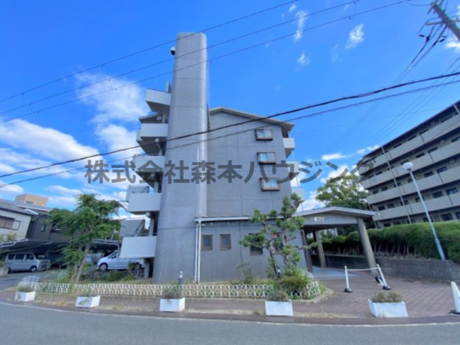 【外観】 | 　住道ファーストハイツ | 外はこのようになっています