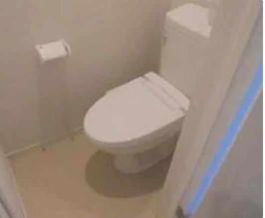 Park Hills三軒茶屋のトイレ|清潔感のあるトイレです