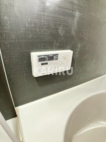 D-ROOMU-SEKIMEの浴室
