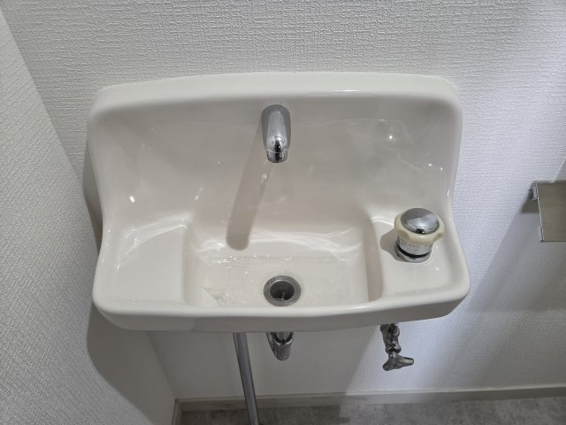 オークプリオタワーの洗面所