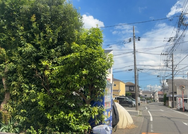 【展望】 | 桜や紅葉の名所に出かける人は多いと思いますが、家にいながら季節の移ろいを感じる生活を送りませんか？リビングや窓から見える景色が生活を彩るワンポイントに！現地から見える景色を堪能してみては如何でしょう。