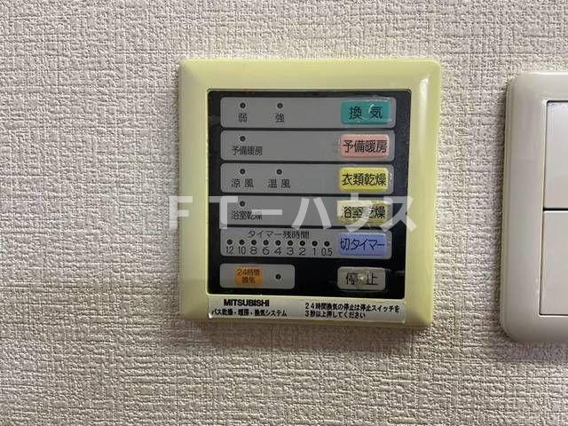 エバーグリーンのその他
