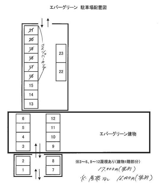エバーグリーン