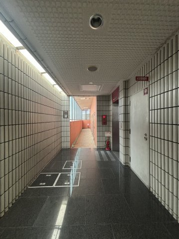 DO十三東