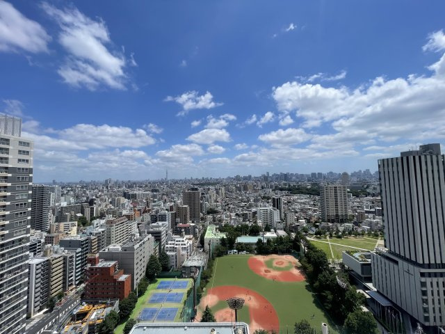 ライオンズタワー池袋の展望