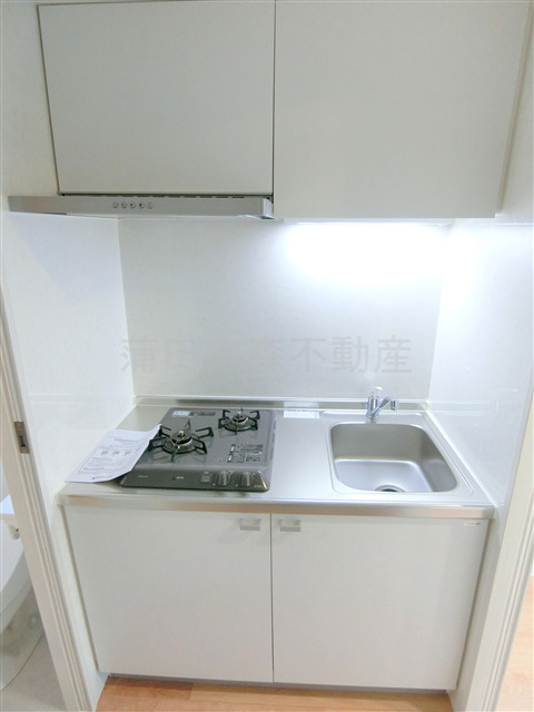 Tresor蒲田(トレゾーカマタ)のキッチン|2口ガスシステムキッチン