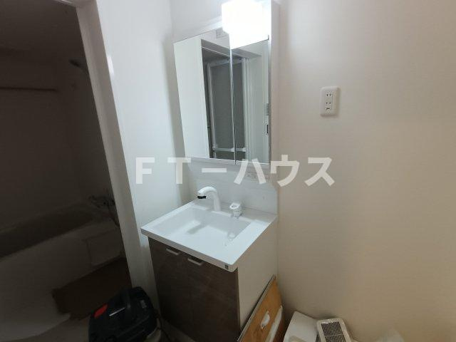 シャトーニイクラの洗面所
