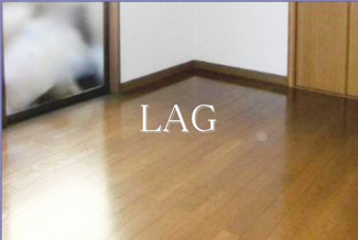 【居間・リビング】 | Ｙ＆ドミール | 洋室のお部屋です。