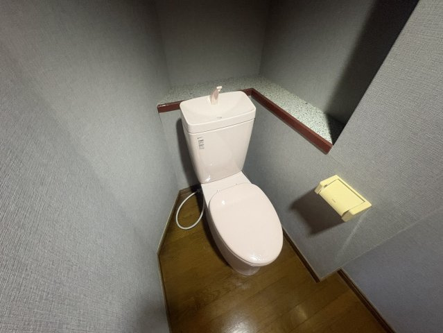 ドムス江坂のトイレ