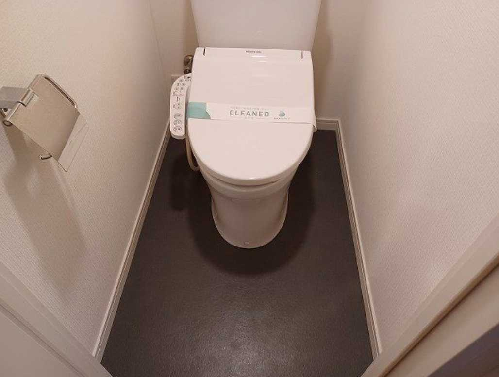 ダイアパレス池尻大橋　リノベーション　分譲賃貸　オートロックのトイレ
