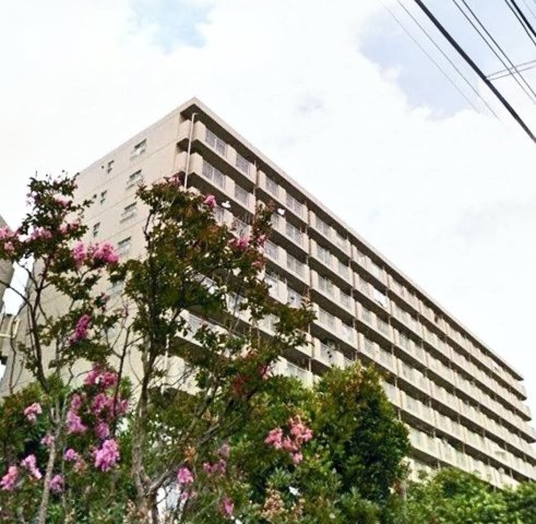 柏ハイライズ