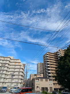 景色
