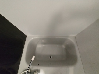 バス