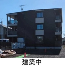 ヴィオラの画像