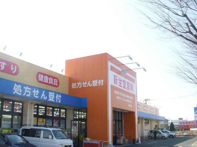 ラ・ルーチェの周辺|ドラッグ新生堂大津店まで540ｍ