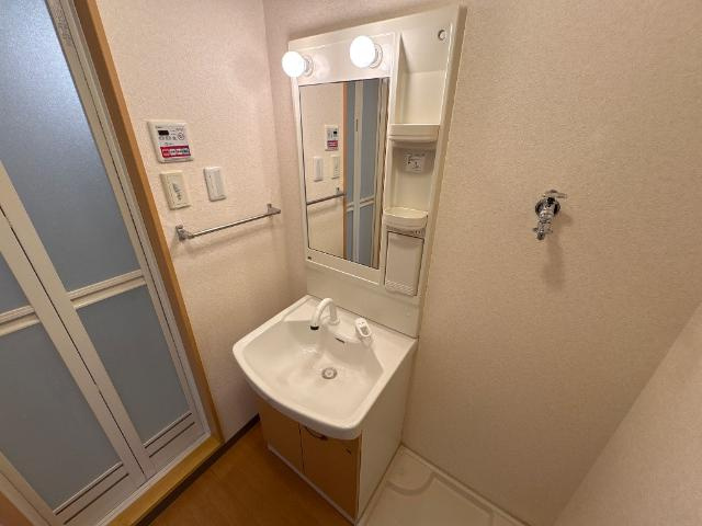 グレイス・エクセレンスの洗面所|シャンプードレッサー