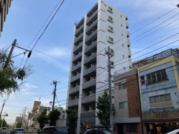 ミリアビタＮｏ．１５の画像