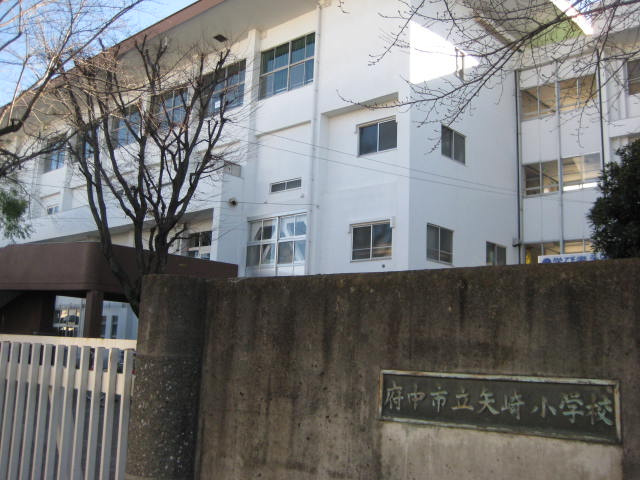 メゾンアドラブールの周辺|府中市立矢崎小学校まで781ｍ
