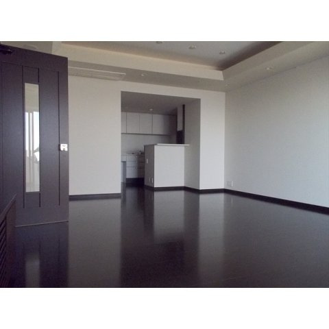 岐阜市橋本町２丁目の賃貸マンションの内装