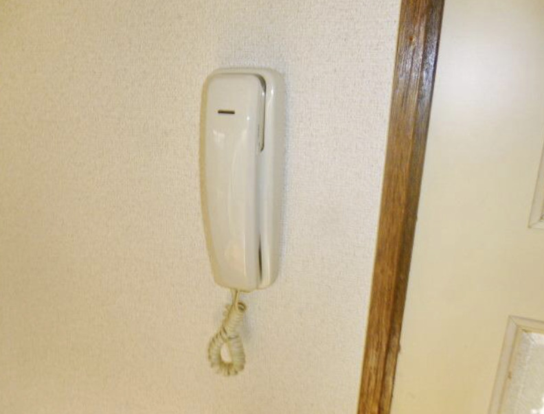 マロンプレーンＡのセキュリティ