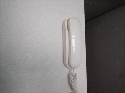【その他】 | レオパレス日和