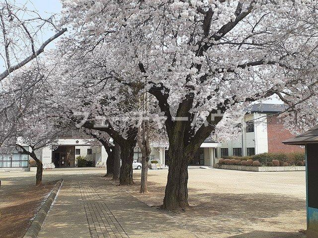 エルディム平沢の周辺|笠間市立笠間第一小学校まで805m
