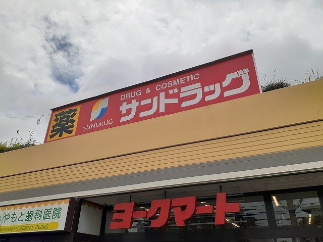 レガリアの周辺|サンドラッグ藤原店まで750m